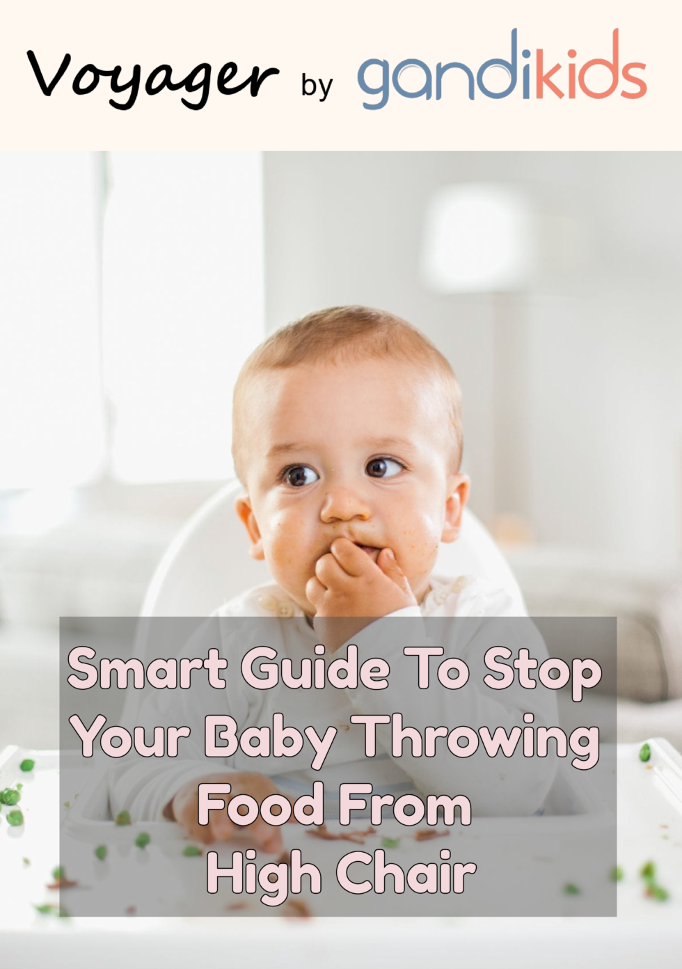 Baby Throwing Food from High Chair Stop Toddler Dropping Food