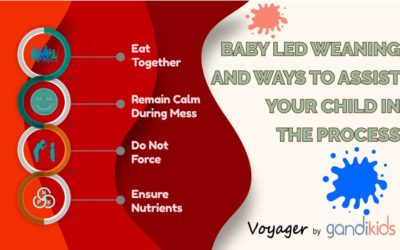What is Baby Led Weaning